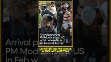 US Military Aircraft Carrying 205 Deported Indians Arrives In Amritsar | WION Shorts