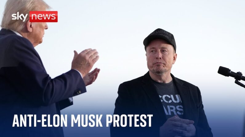 Anti-Elon Musk protest in Washington