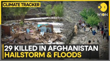 Afghanistan Hit By Rain, Hail, Flash Floods | WION Climate Tracker | World News