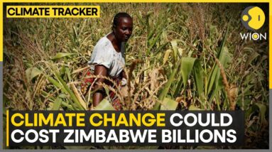 Zimbabwe’s Agricultural Sector at Risk, World Bank Warns | WION Climate Tracker | World News