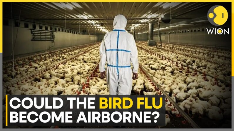 Bird Flu's Deadly Evolution: A New Pandemic Threat Emerges | World News | WION