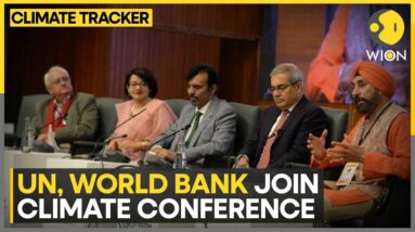 Pakistan Needs $40-50Bn Annually For Climate Action Say Reports | WION Climate Tracker